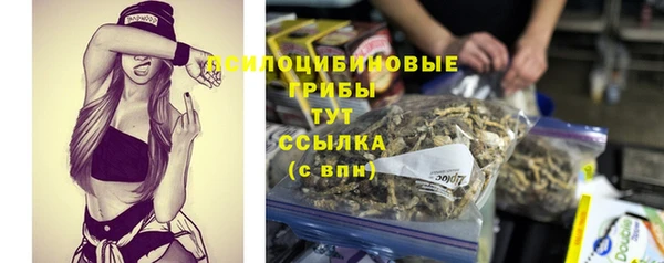 МДПВ Нефтекумск