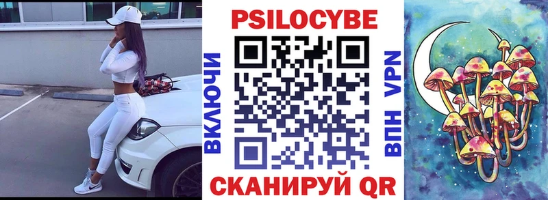 купить наркотик  Оса  Псилоцибиновые грибы Cubensis 